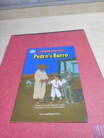 Pedro'sBurro