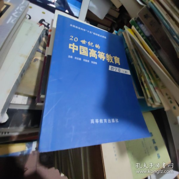 20世纪的中国高等教育.教学卷上册
