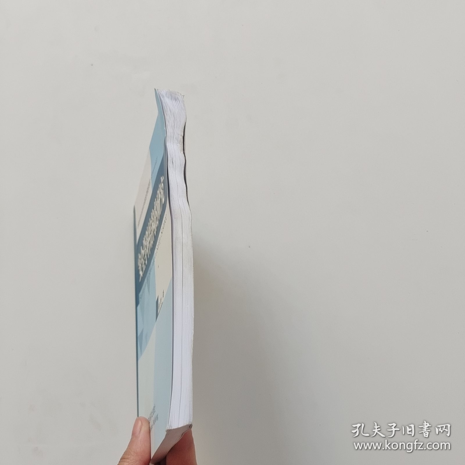 安全学科结构的研究【书里面有水印】