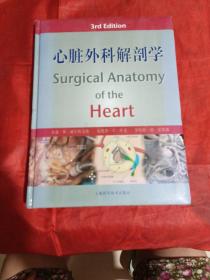 心脏外科解剖学