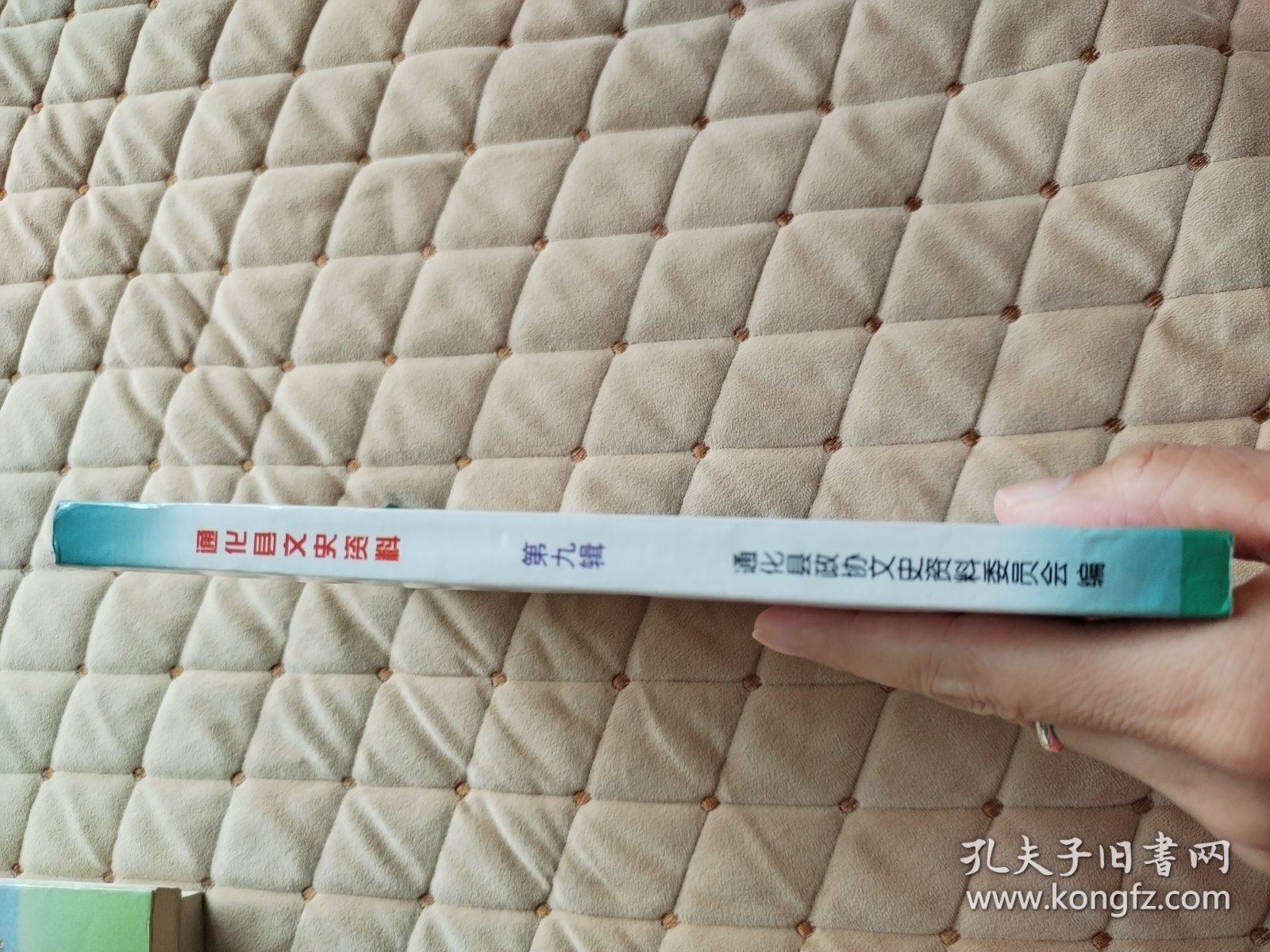 通化县文史资料第九辑