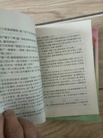 天才白痴十三招