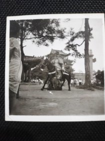 1980年代《老照片》马上女将军