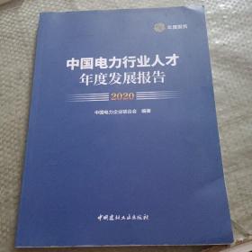 中国电力行业人才年度发展报告