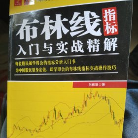 布林线指标入门与实战精解