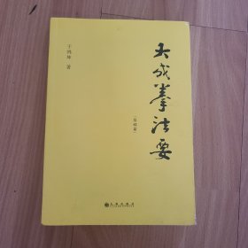 大成拳法要——基础篇（大成拳名家于鸿坤讲述拳学真意，讲授如何回到王芗斋老先生最初对大成拳的阐释。）