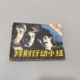 特別行動(dòng)小組
