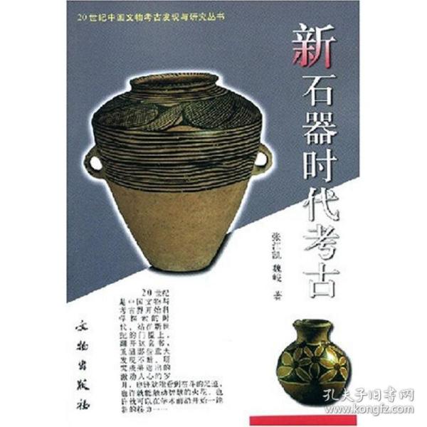 新石器时代考古：20世纪中国文物考古发现与研究丛书