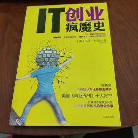 IT创业疯魔史