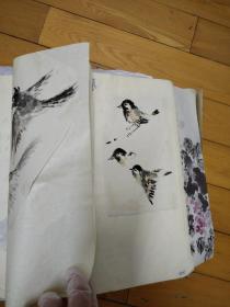 花鸟画技巧手稿厚厚一本，400余页，包括数十枚手绘写生花鸟画粘贴其中，