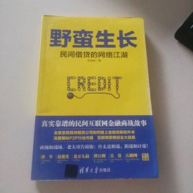 野蛮生长：民间借贷的网络江湖