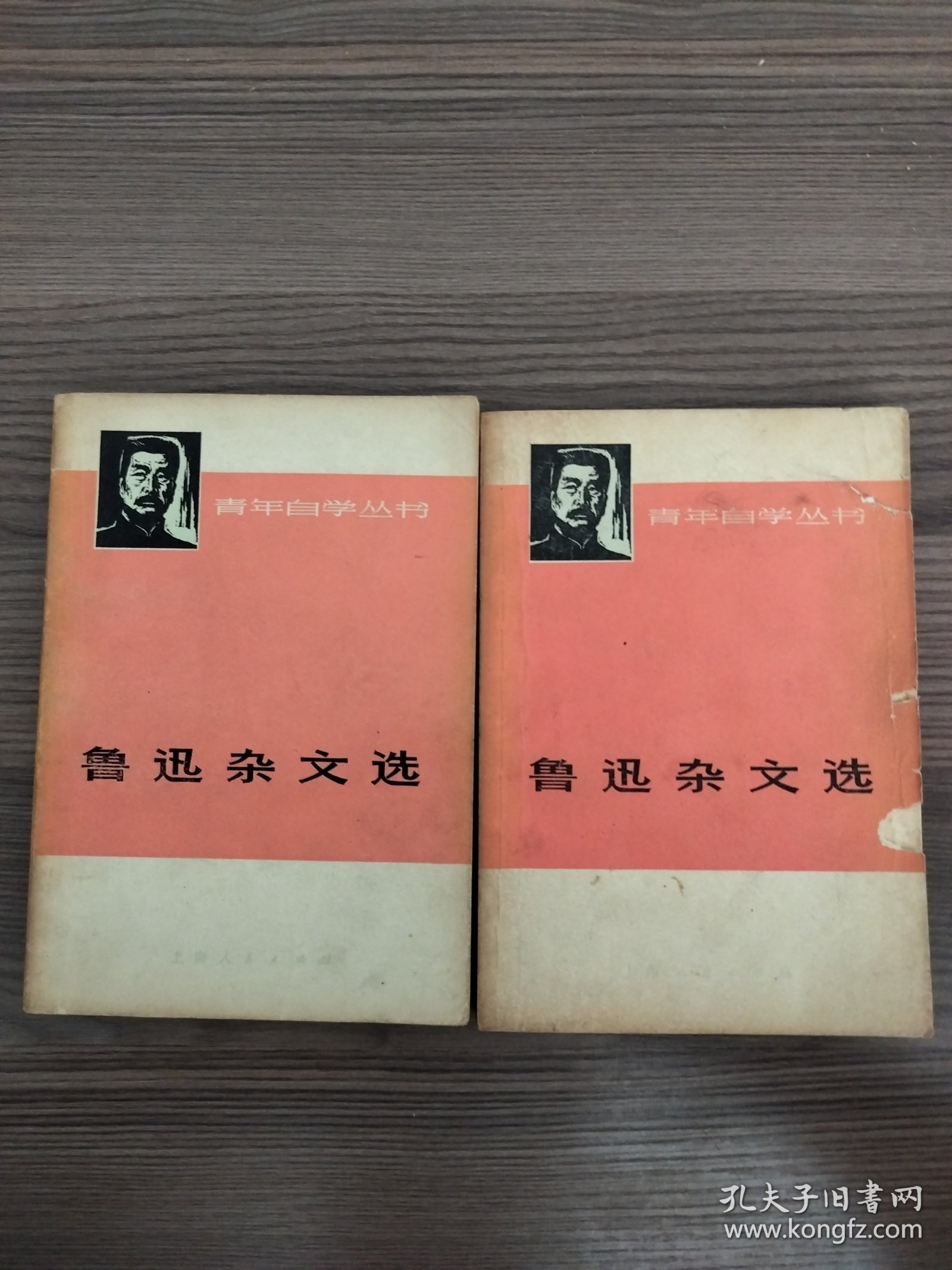鲁迅杂文选上下