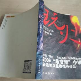 长篇小说 玩火 2009“最官场”小说