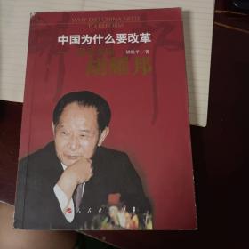 中国为什么要改革-思忆父亲胡耀邦