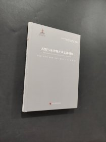 天然气水合物开采实验研究
