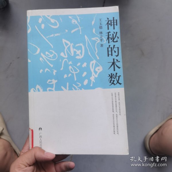 神秘的术数：中国算命术研究与批判