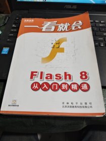 一看就会：Flash8从入门到精通 带光盘/CT24