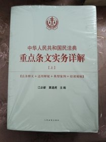 中华人民共和国民法典重点条文实务详解(全3册)