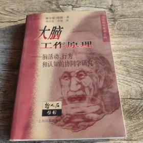 大脑工作原理：脑活动、行为和认知的协同学研究