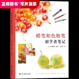 蜡笔和色粉笔初学者笔记  读日本艺术名校老师剖析名画，看懂画才能更会画