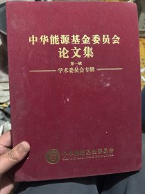 中华能源基金委员会论文集第一辑第三辑