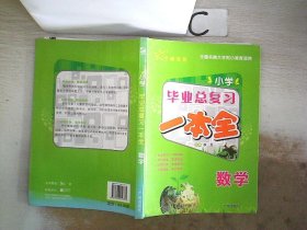 小学毕业总复习·数学一本全