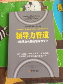 领导力管道：打造基业长青的领导力文化（无塑封）