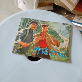 竹海打蛇 连环画 (馆藏书)1976年一版一印