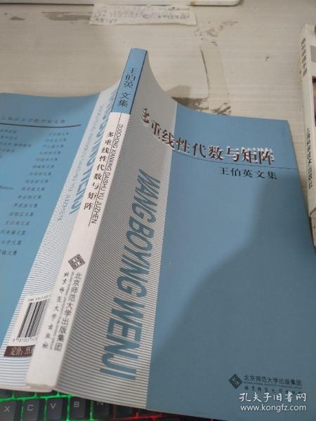 王伯英文集 多重线性代数与矩阵