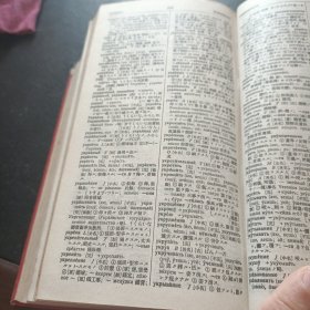 岩波版 露和辞典