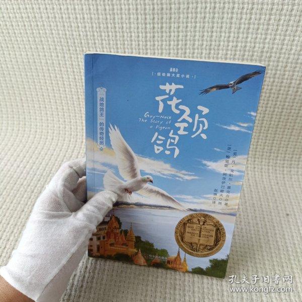 森林鱼童书·花颈鸽（纽伯瑞儿童文学金奖，入选美国中小学生必读书目，国内新课标中小学生指定书目）