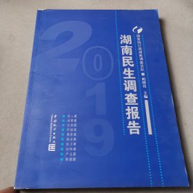 湖南民生调查报告（2019）