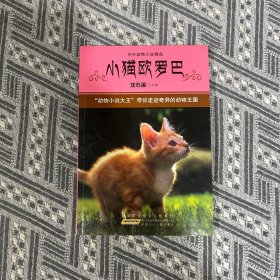 中外动物小说精品·第3辑：小猫欧罗巴