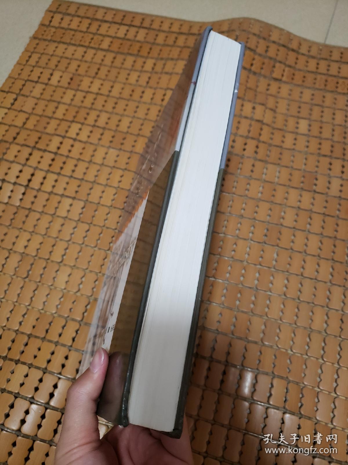 骨科标准手术技术丛书：膝关节置换术（第3版）