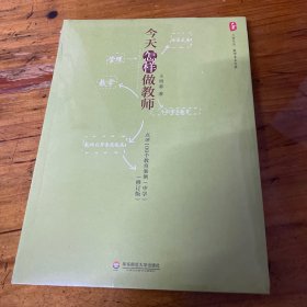 大夏书系·今天怎样做教师：点评100个教育案例（中学）（修订版）