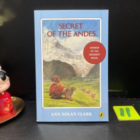 Secret of the Andes[海雀系列书：安第斯山脉的秘密