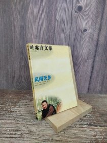 叶兆言文集――风雨无乡