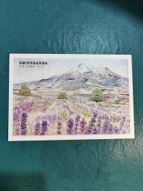 【明信片】新疆–伊犁薰衣草基地