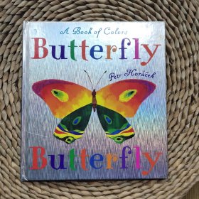 Butterfly Butterfly: A Book of Colors