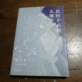 此时不必问去哪里（80后文学领军作家独木舟暌违五年，2020长篇力作）