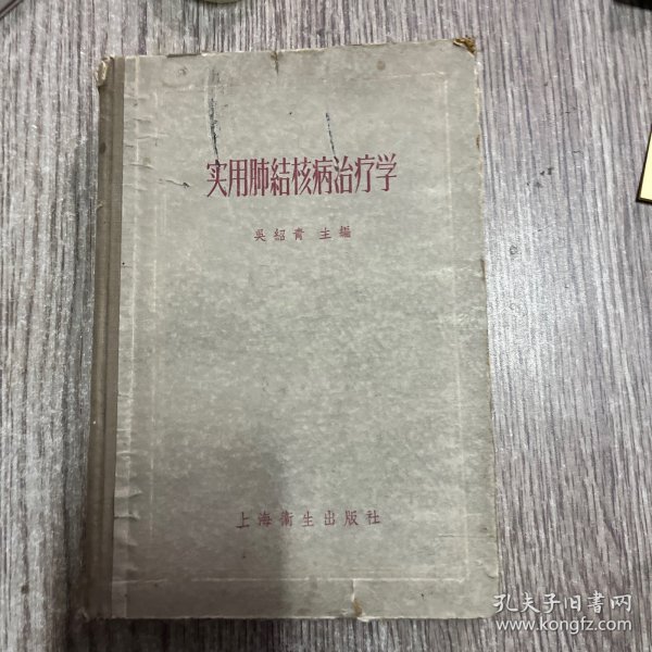 实用肺结核病治疗学