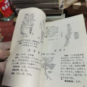 草药针灸治兽病