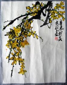 中国美协会员、中国人民大学美术教授东光明迎春花之一