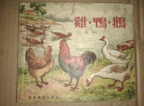 1955年新1版1956年3月第4次印刷孔网在售孤本、赵白山绘【鸡·鸭·鹅】全20页包邮