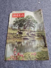 辅导员1956年第6期