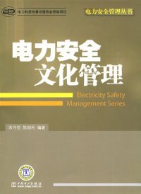 【正版书籍】电力安全文化管理