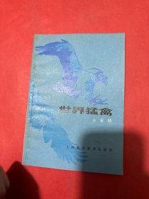 世界猛禽
