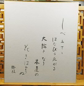 静枝 作品 手写 日本书法色卡 长27cm宽24Cm。