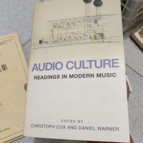 Audio Culture：Readings in Modern Music