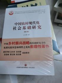 中国农村现代化社会基础研究（修订版）